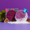 LWYA Salt N' Sass Body Wash and Polish - Exfoliating Body Scrubber with Loofah Sponge - Shower Sponges for Women - Sea Salt and Fig - 3 oz