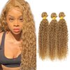 DiexrLamx Hair Honey Blonde Bundles Color #27 Kinky Curly Human Hair Bundles 18 18 18 Inch Brazilian Virgin Hair Color #27 Bundles Human Hair Blonde Curly Bundles Hair Weave