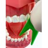 E-Z Floss Dental Floss Holder (Blue, Yellow, Green)