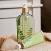 Thymes - Eucalyptus Body Wash - Luxury Shower Gel for Men & Women - 9.25 fl oz