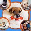 Nobleza Dog Chew Toy, Durable Treat Dispensing Dog Chew Toys, Safe Natural Rubber Dog Bone Toy for Teething and Teeth Cleaning of Small and Medium Breeds, 6 * 2.1 * 1.3 in, Orange