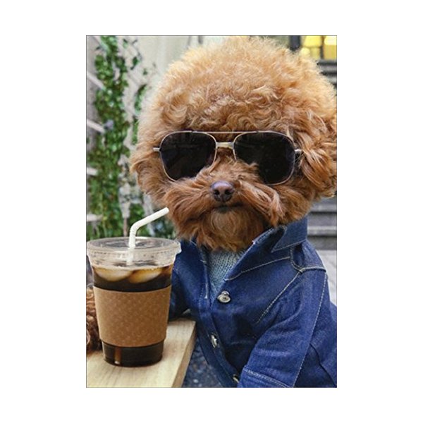 Cool Dog with Coffee Avanti Humorous/Funny Birthday Card