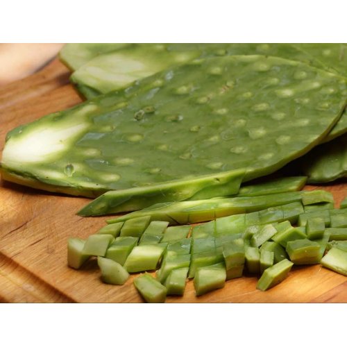 5 Spineless Fresh Edible Cactus Nopales Paddles Cutting