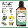Natural Riches Breathe Essential Oil Blend Breathe Easy with Peppermint Eucalyptus Tea Tree Lemon Cardamom Pine Needle Essential Oils - 2 x 30 ml