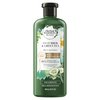 Herbal Essences bio:renew Cucumber & Green Tea Sheer Moisture Shampoo, 13.5 fl oz (Packaging May Vary)