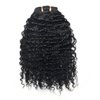 Luwigs Afro Kinky Curly 3B 3C Clip in Hair Extensions for Black Women Real Brazilian Virgin Human Hair Clip Ins Natural Color 7pcs/set (14 inches, 3B 3C Afro Kinky Curly)