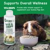 OASIS #80069 Guinea Pig Vita-Drop Vitamins, 16-Ounce liquid multivitamin with Vitamin C