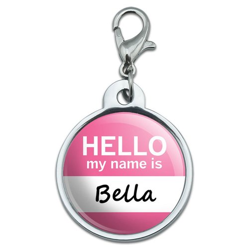 Chrome Plated Metal Small Pet ID Dog Cat Tag Hello My Name is BA-BR - Bella