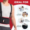 MAXAR Deluxe Industrial Back Brace for Lower Back Pain Women & Men - Back Support Belt for Immediate Relief from Sciatica, Herniated Disc, Scoliosis - Lumbar Support with Removable Suspenders/Straps
