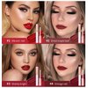 MAEPEOR Matte Lipstick Set 4 Colors Velvety All Day Lipstick Waterproof Long Lasting Lipstick Samples Case (Set 02)
