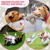 GOMUHE Dog Squeaky Toys Puppy Plush Dog Toy for Small & Medium Dogs （5 Pack）