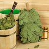 Traditional Professional Russian Caucasian Oak Whisk Venik Broom Bath for Sauna Banya Wenik Organic Massage Веник для бани [3 pcs]