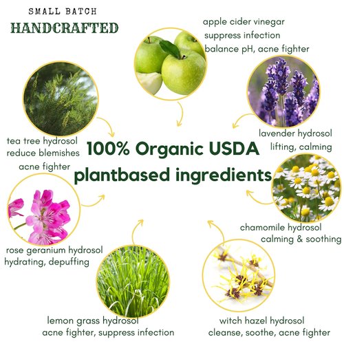 Apple Cider Vinegar Acne Face Wipes-Organic TeaTree, Rose, Chamomile, Witch Hazel.Oil free. Reduce Blemish & Acne. Tone,Restore, Sooth, Balance pH. Dry, Normal, Sensitive Skin. 25ct. USA Hello Cider