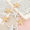 Framendino, 8 Pack Starfish Hair Clip Mermaid Hairpin Beach Sea Hair Pins for Girls Women Gold Silver