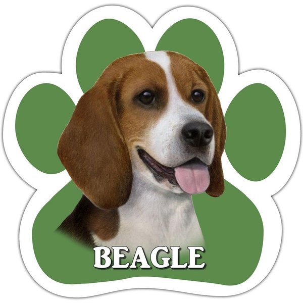 Beagle Car Magnet With Unique Paw Shaped Design Measures 5.2 by 5.2 Inches Covered In High Quality UV Gloss For Weather Protection