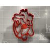 Heart Anatomy Cookie Cutter
