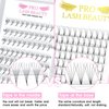 Premade Fans Eyelash Extensions 6D-C-0.07-9-16 Premade Volume Lash Extensions Pointed Base Fans 0.07 Premade Volume Fans C D Curl(6D-C-0.07,9-16mix)