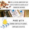 Bluebyrd Soap Co. Frankincense & Myrrh Soap Bars 5oz | 100% All Natural Soap - Scented with Pure Essential Oils | Vegan Moisturizing Coconut Oil Soap Bars For Body, Face, & Bath (Frankincense)