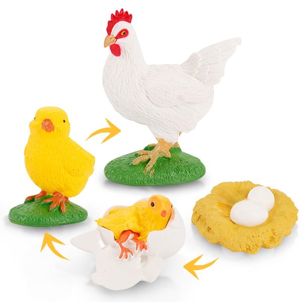 Life Cycle Set Life Cycle of Chicken Toys Realistic Farm Animals Figurines Preschool Animals Figures Eduactional Project Diorama Model Toy for Kids