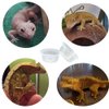 QIHYCUF 100 pcs Small Gecko Food and Water Cups Plastic Reptile Feeding Bowls Ledge Accessories for Crested Gecko Lizards Small Pets, 0.5 oz