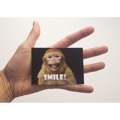 Oospecka Lunch Box Note Cards Motivational and Inspirational Funny Animal Note Cards for kids