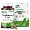 Wild & Organic Goldenseal Root Capsules 1000mg - Immune & Lung Support - 120 Goldenseal Powder Capsules - 2 Month Supply - Vegan, No Fillers, Non-GMO