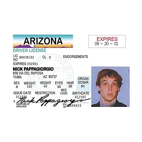 Signs 4 Fun Parody ID | Nick Pappageorgio Driver’s License | Fake ID Novelty Card | Collectible Trading Card Driver’s License | Novelty Gift for Holidays | Made in the USA