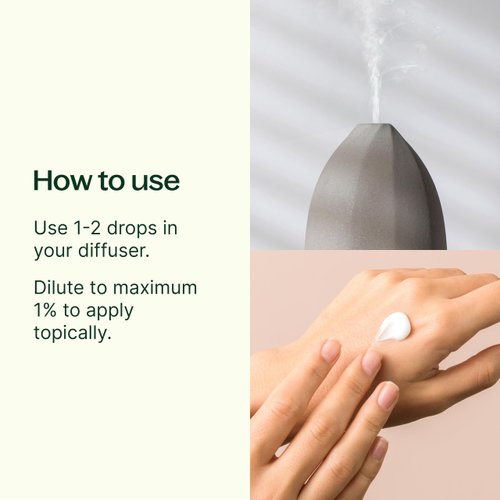 Plant Therapy Ginger Root CO2 Essential Oil 100% Pure, Undiluted, Natural Aromatherapy, Ginger Oil for Diffuser, Skin & Massage and Hair, Therapeutic Grade 10 mL (1/3 oz)