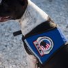 WORKINGSERVICEDOG.COM Premium ESA Emotional Support Dog Vest - Reflective - Zipper Pocket - ID Holder - Includes 5 Federal Law ESA Handout Cards (29-35" Girth, Orange)