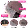 Ginger Blonde Highlight Lace Front Wigs Human Hair Skunk Stripe 13x4 Lace Frontal Wig Straight Black Ginger and Blonde Ombre Colored Wigs Glueluess Human Hair 22 Inch 180% Density Pre Plucked