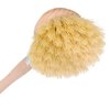 REDECKER Tampico Fiber Bristle 2-Inch All-Purpose Kitchen Dish Scrub Brush with Beechwood Handle, Bamboo Dish Brush Alternative, Perfect for Pots, Pans, and Kitchen Utensils, Made in Germany