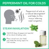 artnaturals 100% Pure Peppermint Essential Oil (.5 Fl Oz / 15ml) - Premium Therapeutic Grade Mentha Peperita - Fresh Mint for Hair Growth and Skin - Repel Mice and Spiders - Natural Rodent Repellent