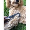 Chicago Comb No. 9 Pet, the XL Comb for Man or Beast, Carbon Fiber, Made in USA