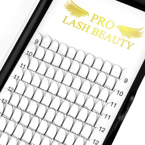 Premade Volume Eyelash Extensions 6D-C-0.07-10 Long Stem Premade Fans Eyelash Extensions .07 .10 Premade Volume Fans Volume Lash Extensions C D Curl(6D-C-0.07,10 mm)