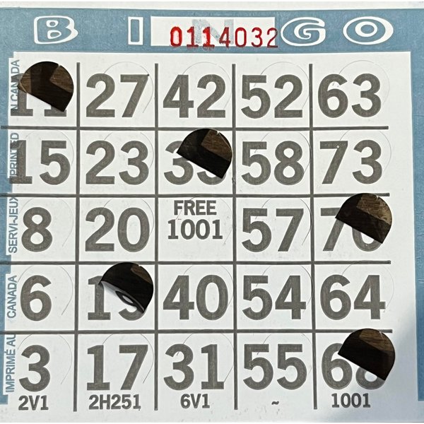 The Ticket Gurus Blue Pushout Bingo Cards-1 Card per sheet-500ct