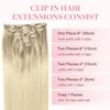 GOO GOO Clip in Hair Extensions Real Human Hair, 14inch 120g 7Pcs, 17/22/60 Balayage Ash Blonde to Golden Blonde and Platinum Blonde, Remy Human Hair Extensions Clip ins for Women, Natural Human Hair