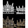 Tiaras for Women, Crystal Crowns for Women, Gothic Crown Halloween Tiara Crown, Queen Crown, Black Wedding Tiara, Gothic Halloween Costumes for Women Prom Halloween Accessories（2 PCS）