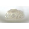Generic Pearly white iridescent hair claw clip for medium fine hair