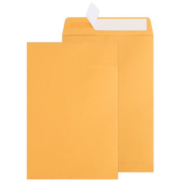 Poever 6x9 Catalog Envelopes 100 Pack Small Envelopes Brown Kraft Self Seal Security Mailing Envelopes for Documents, Cards, Photos, Office, Business