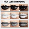 BADCOLOR 3 Colors Matte Liquid Lipstick Set, 24-Hour Smudge Proof Permanent Dark Lipstick Waterproof Velvet Nonstick Cup Stain Lip Gloss Set, Halloween Makeup Lip Gloss Gift - Black, White, Grey