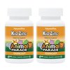 NaturesPlus Animal Parade KidZinc, Tangerine Flavor - 90 Animal-Shaped Lozenges, Pack of 2 - Organically Chelated Zinc - Vegan, Gluten Free - 180 Total Servings