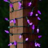 ‎‎‎Novelty Lights 24FT 70 LED C6 LED Christmas String Lights, Outdoor Christmas Tree Commercial Grade LED String Lights, Permanent Christmas Lights Outdoor Tree Decorations Outdoor (Purple)
