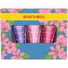 Burt's Bees Spring Gift, 3 Moisturizing Self Care Gifts, Shea Butter Hand Cream Trio Spring Set - Lavender & Honey, Wild Rose & Berry and Watermelon & Mint (Packaging May Vary)