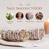 Age of Sage White Sage Smudge Sticks 4" Long - Stress Relief Dried Sage Incense Sticks - Burning Sage Sticks Bundle for Cleansing House Negative Energy - Hand Wrapped White Sage Incense Sticks - 3pk