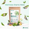 Herbaly Wellness Collection Tea - 8 Active Herbs - Improve General Health, Strengthen Immunity - Natural, Organic, Non-GMO, Vegan, Sugar Free - 3 Pack, 84 Pyramid Tea Bags