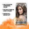 L'Oreal Paris Feria Multi-Faceted Shimmering Permanent Hair Color, T53 Moonlit Tortoise (Cool Medium Brown), Pack of 1, Hair Dye