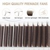 NATUHANA W Shaped Clover Eyelash Extension 5D Premade Fans 0.07mm L Curl 8-14 Mixed Tray Volume Lash Cluster W Lashes Supplies Lash Extensions (5D brown;0.07 L, 8-14 MIX)
