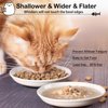 WROSWT Cat Food Bowl,Healthy Ceramic Cat Bowls for Indoor Cats,Anti Whisker Fatigue Cat Dishes Set,Shallow Wide Kitten Plates for Food and Water,Non-Slip Silicone Bottom,3 Pack