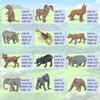 Saseocan Mianimals Wildlife Animal Model Toys 12 PCS Mini Elephant Buffalo Wolf Brown Bear Rhino Figurine Family Party Favors Supplies Cake Toppers Set Toys for Over 3 Years Old Boys Girls Kids