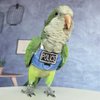 Bird Flight Harness Vest, Parrot Flight Suit with Leash, Bird Flying Clothes with Rope and Handle for Outdoor Activities (with Leash,Green Quaker)